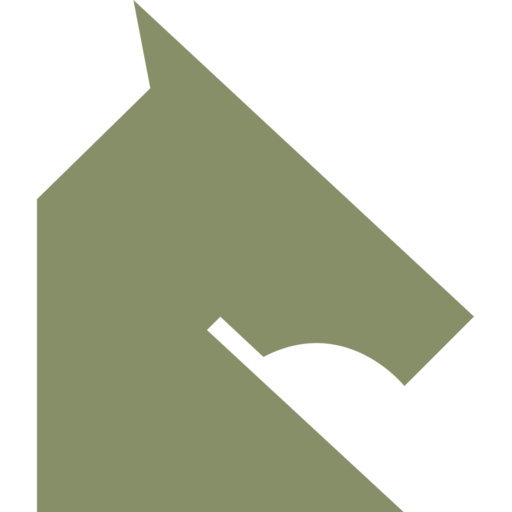 Seagate Securities Litigation